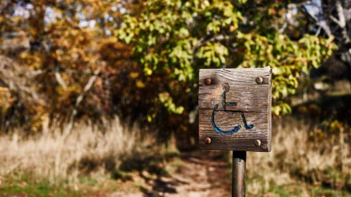 Acceso al Bosque de la Herrería para discapacitados