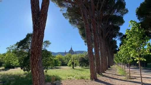 Visitar El Escorial con niños